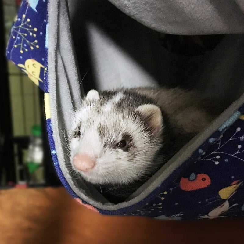 FULUE Ferret Rat Hammock Bed Nation Cage Accessories Kit Set Staff House and Hideouts Cave for Guinea Pig Ferret 13.8inch - Image 4